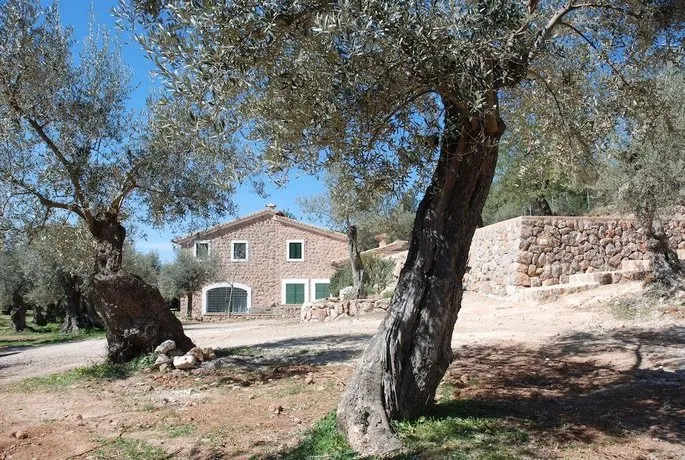 Coll den Pastor - Image 1