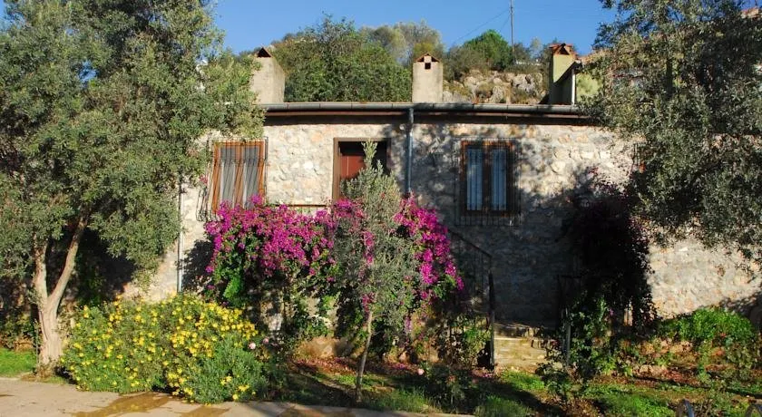 Kayakoy Houses - Image 1