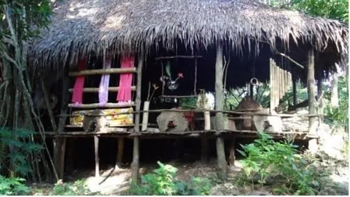 la maison du banian - Image 1