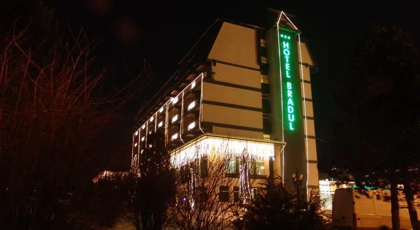 Hotel Bradul - Image 1