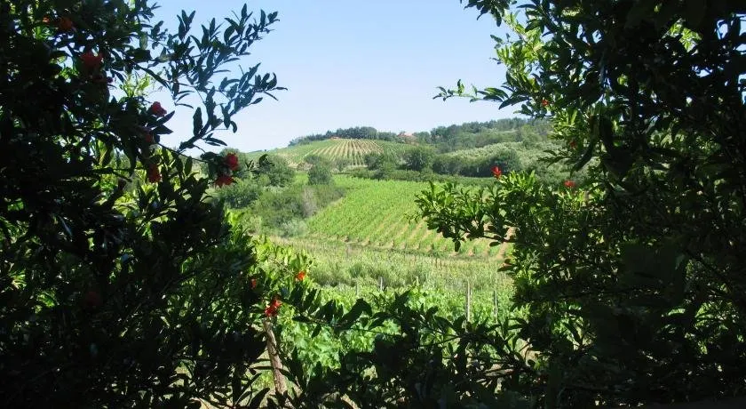 Piccolo Sole - Image 1
