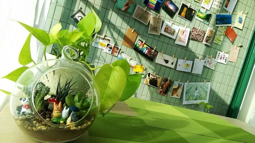 SMILEHOUSE - Image 1