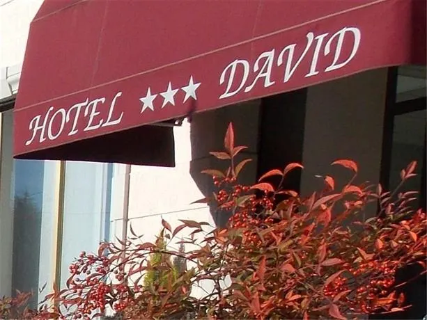 David - Image 1