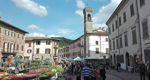 B&B DELLA PIAZZA - Image 1