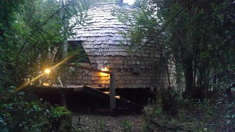 Domo del bosque - Image 1