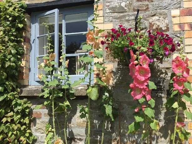 The Old Stable Dolton - Image 1