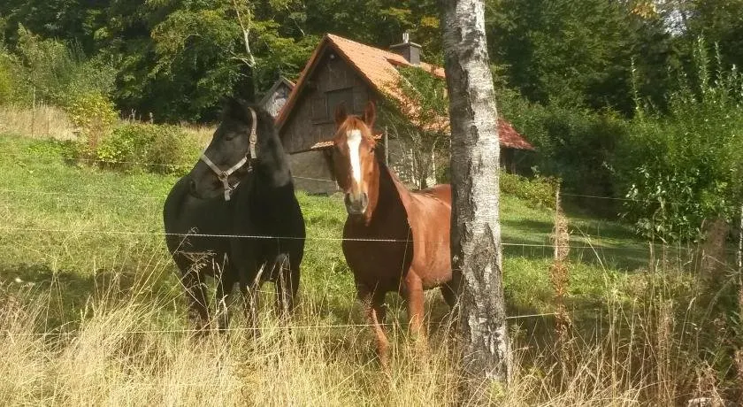 Jagdhaus in der Rhön in völliger Alleinlage - Image 1