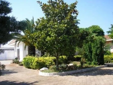 Il Giardino Di Alba - Image 1