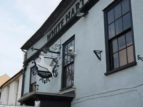 The White Hart Hotel - Image 1