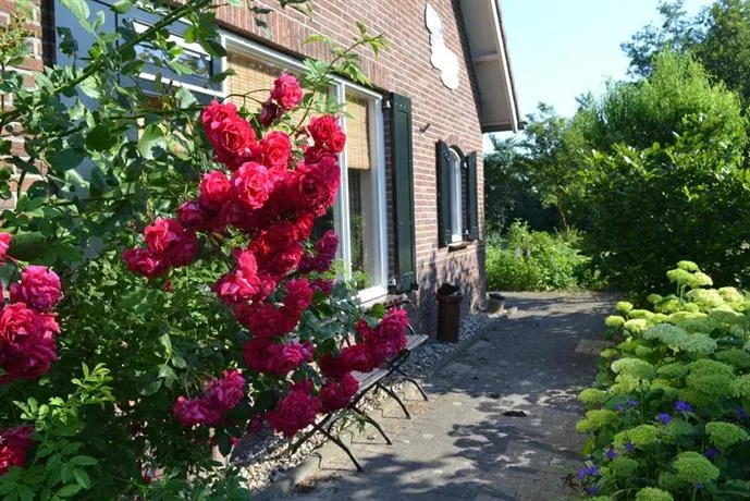 B&B De Vennesik - Image 1