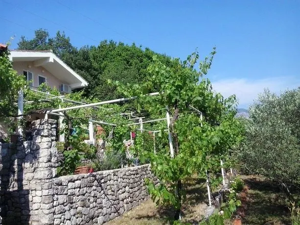 Guest House Silenzia - Image 1
