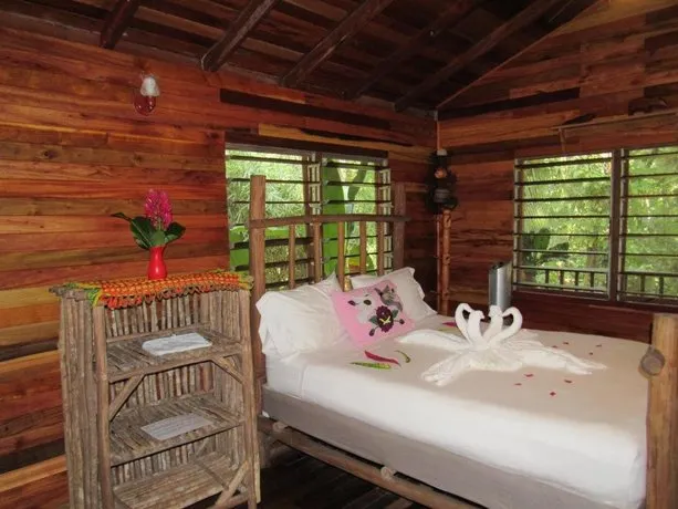 Macaw Bank Jungle Lodge - Image 1