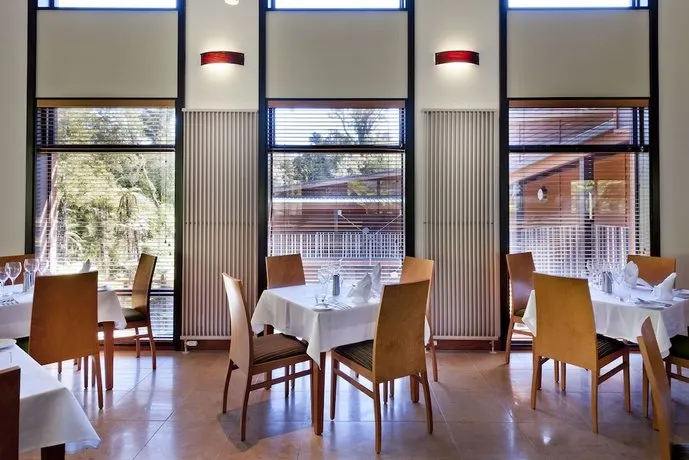 Te Waonui Forest Retreat - Image 1