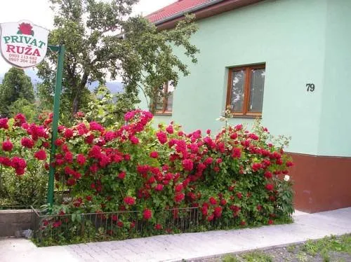 Privát Ruža - Image 1