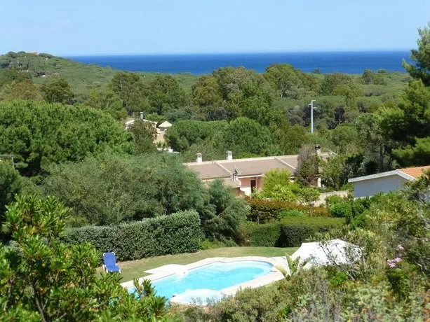Verde - Image 1