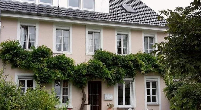 Unterm Blauregen - Image 1