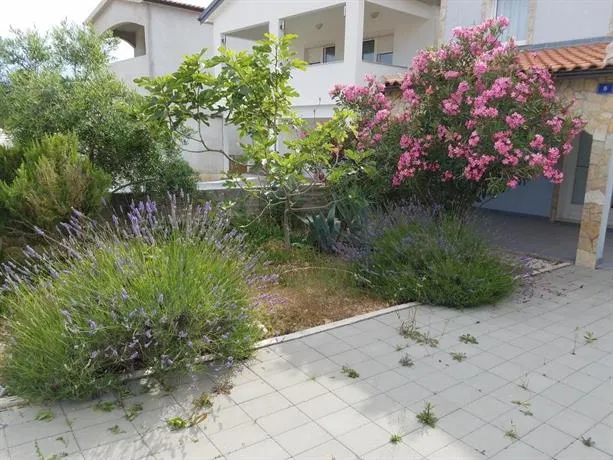Casa Lavanda Povljana - Image 1