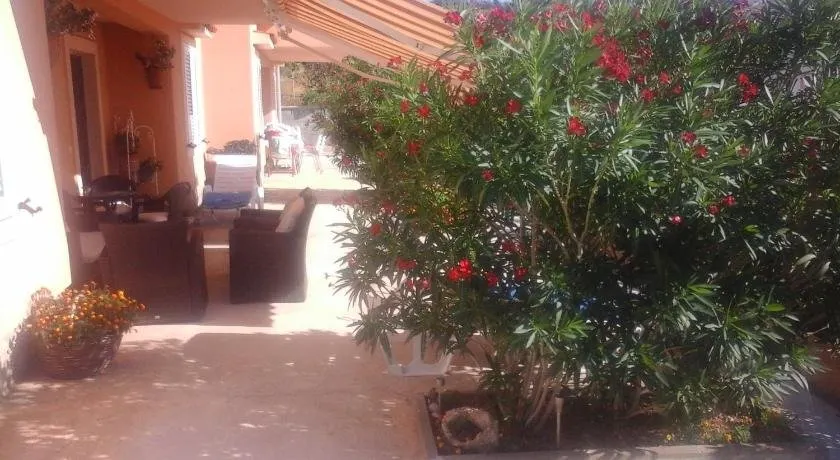 Apartments Jela - Image 1