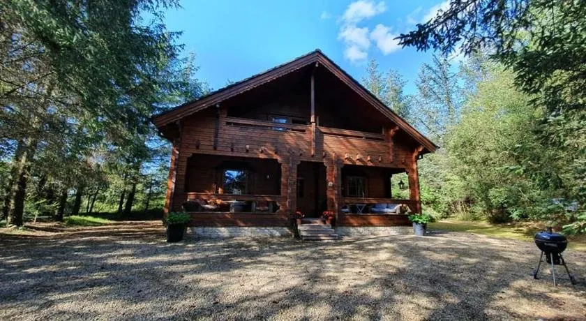Forest Lodge Log Cabin - Ireland - Image 1