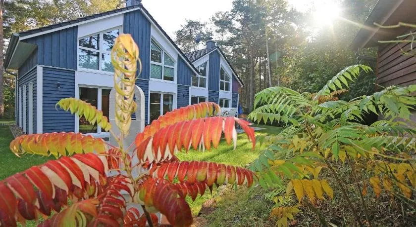 Strandhaus Traumland mit Terrasse - Image 1