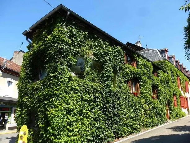 La Vigne Vierge - Image 1
