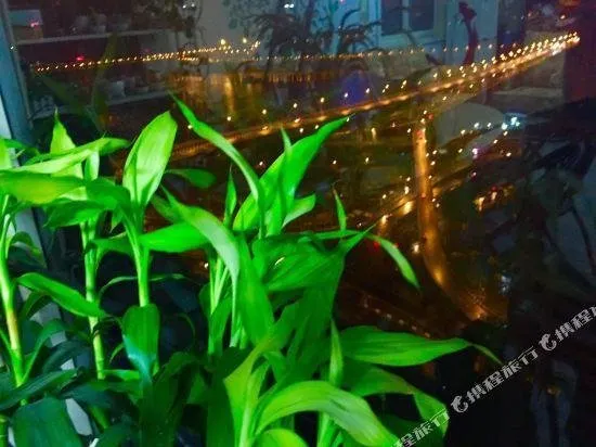 Stray Birds Hostel Chongqing - Image 1