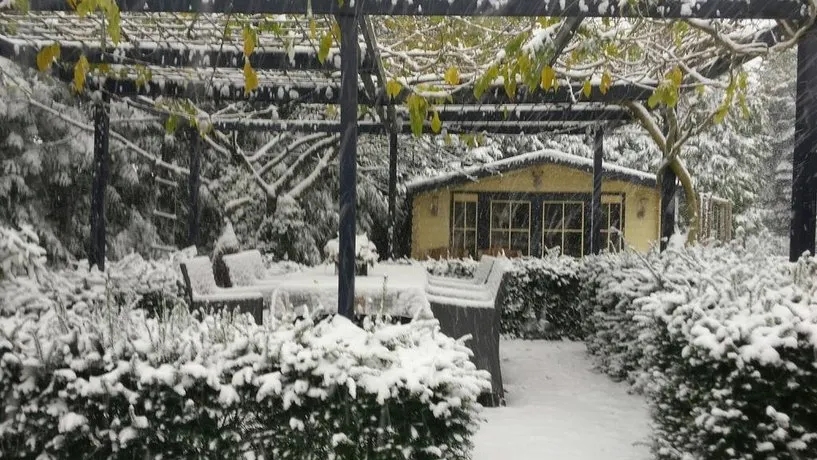 Cosy Cottage by The Wellness Cottage - Image 1