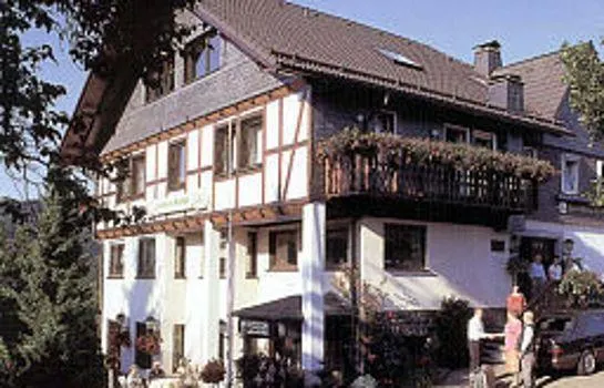 Pension Zur Schönen Aussicht - Image 1