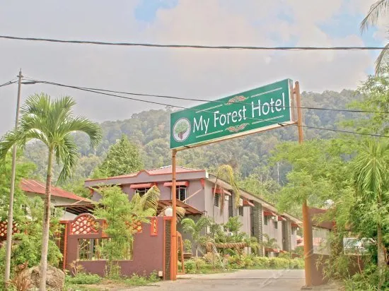 My Forest Hotel - Image 1