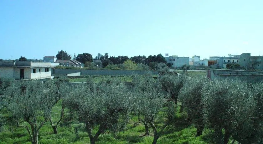 Piccolo Ulivo B&B Salento - Image 1