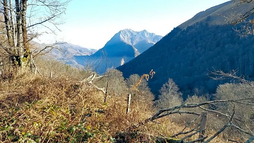 Les 3 Baudets - Image 1