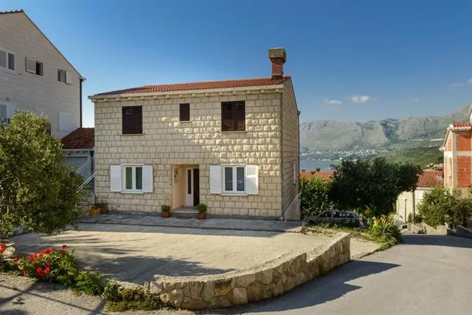 Olive Tree - Image 1