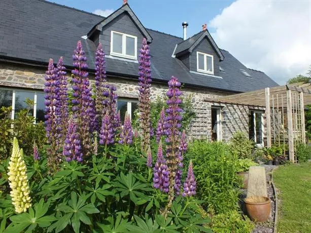 Baytree B&B - Image 1