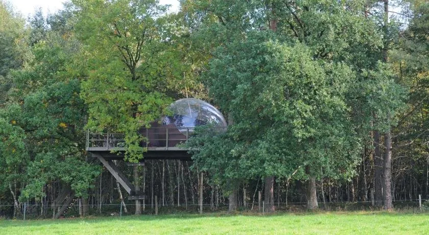 Sphair Perchée - Image 1
