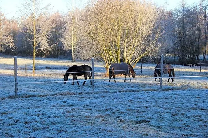 B&B Landgoed Bergerven - Image 1
