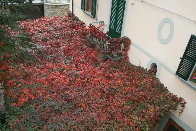 Casa Scheda - Image 1