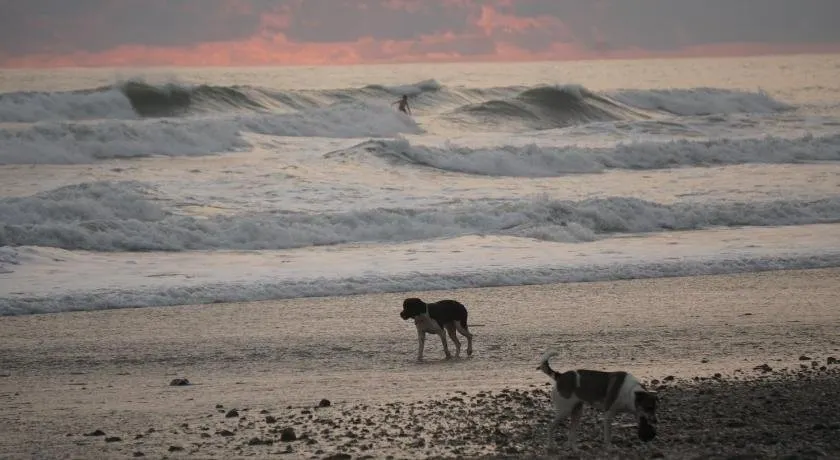 El Gato Rojas Surf Hostel - Image 1