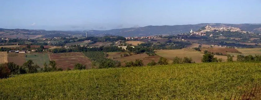 Il Cardo - Image 1