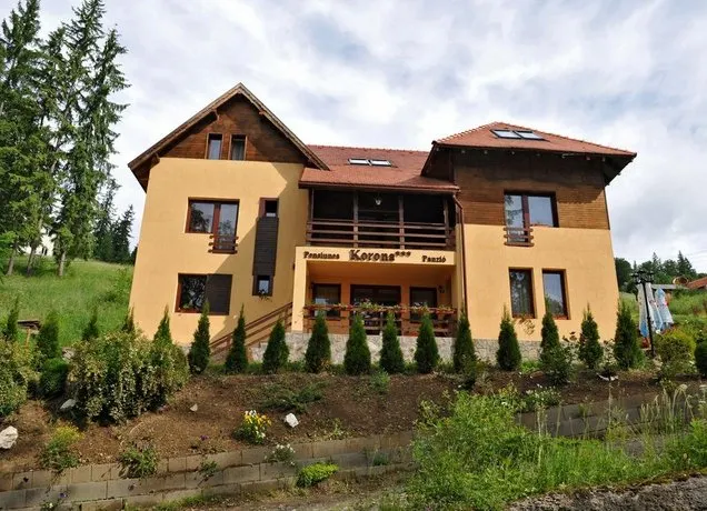 Pensiunea Korona - Image 1