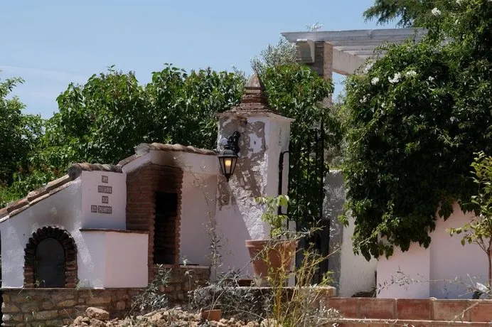 The White Olive - Image 1