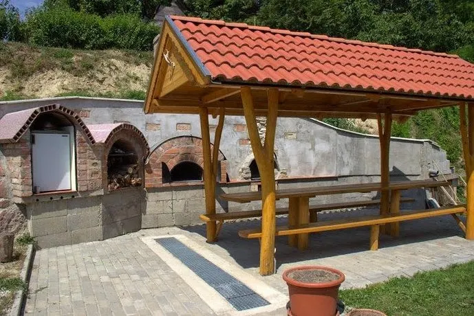 Okapy - Image 1