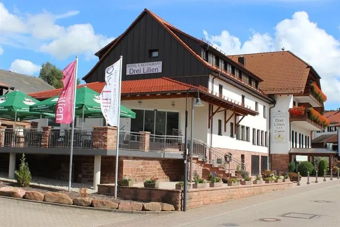 Hotel & Restaurant Drei Lilien - Image 1
