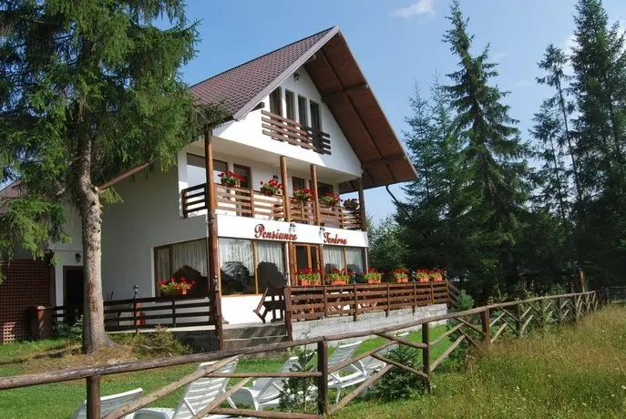 Pensiunea Teodora - Image 1