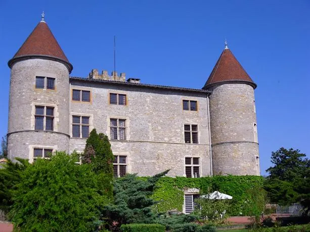 Château De Tanay - Image 1