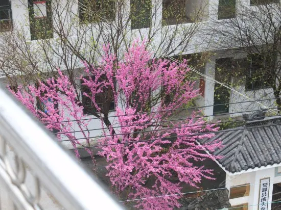 Longwei Hotel - Image 1