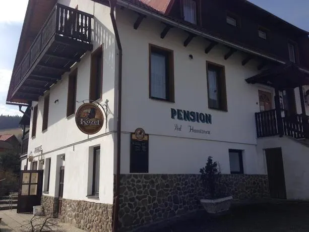 Pension Pod Hamižnou - Image 1