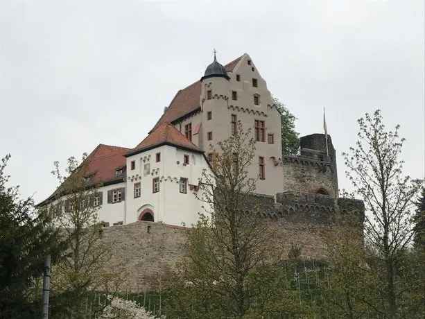 Panorama-Schloßberg - Image 1