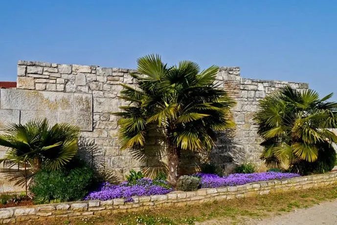 Pokrajac - Image 1
