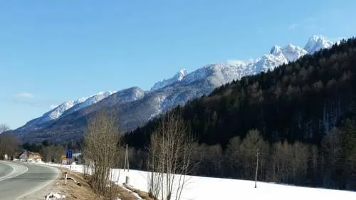 Koca Vitranc - Image 1