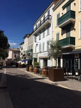 Palme d'hote - Image 1